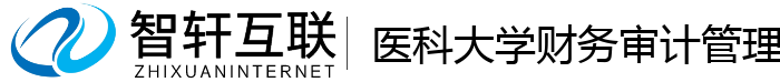医科大学财务审计管理系统
